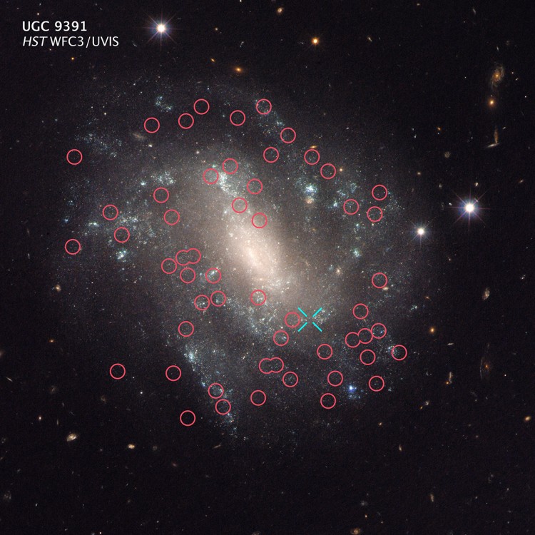 Uma das galáxias investigadas pelo estudo. Os círculos indicam cefeidas, e o X, uma supernova Ia (Crédito: STScI/ESA/Nasa)